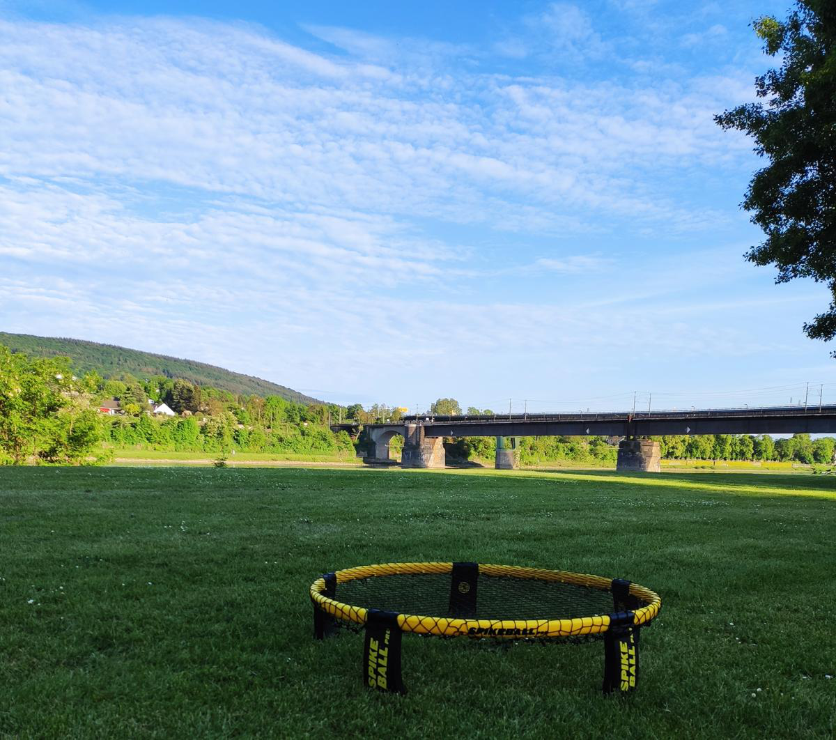 Koblenzer Königstiger