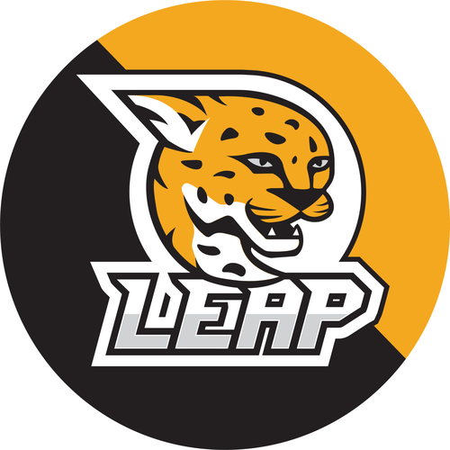 LEAP: Roundnet Enschede