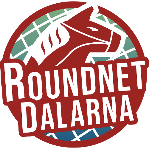 Roundnet Dalarna
