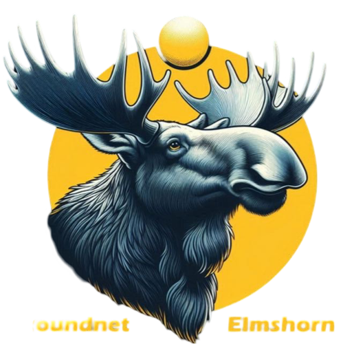 Roundnet Elmshorn e. V.