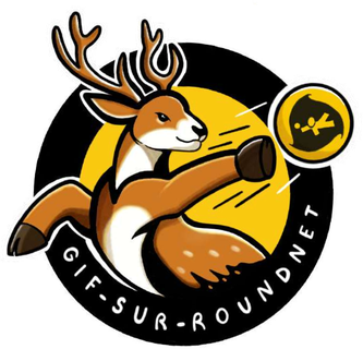 Gif-sur-Roundnet