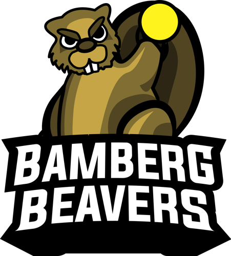 Roundnet Beavers Bamberg