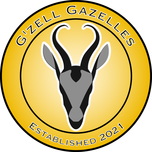 G’zell Gazelles
