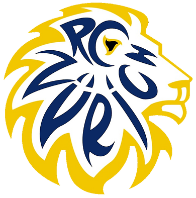 Roundnet Club Zürich