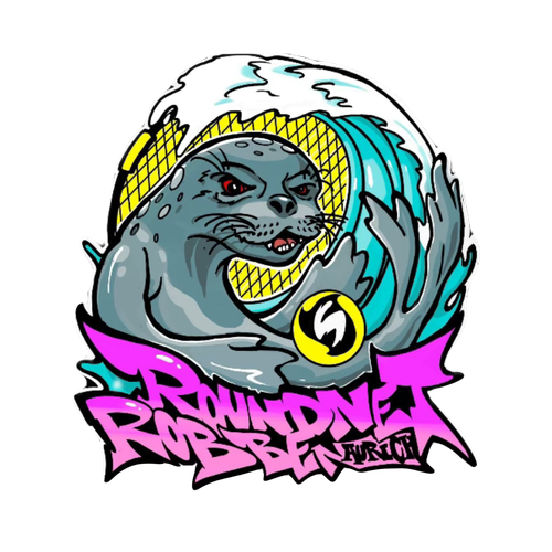 Roundnet Robben Aurich