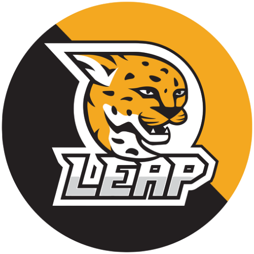 LEAP: Roundnet Enschede